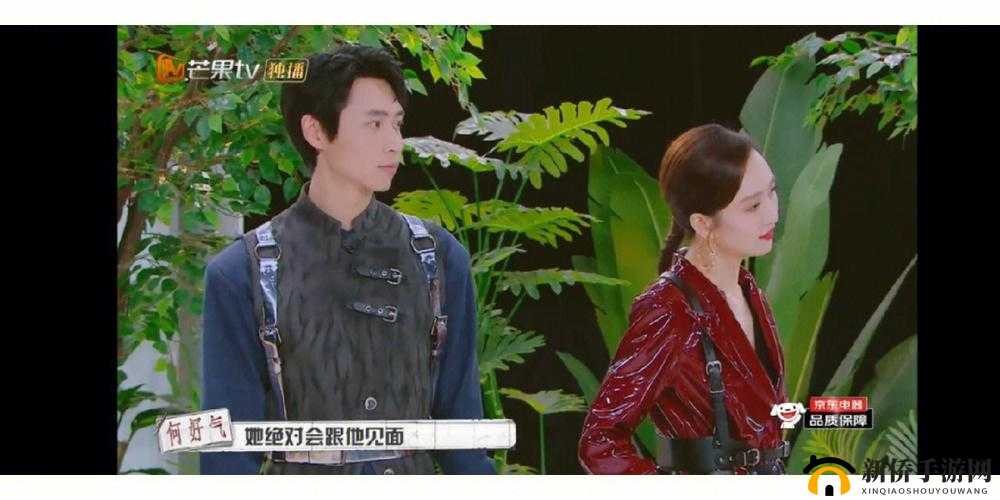 成全视频观看技巧和方法：轻松提升观影体验