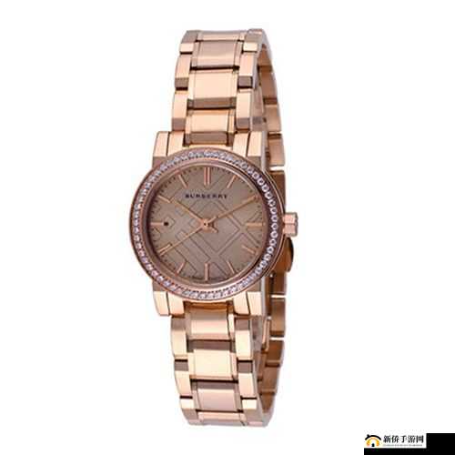 BURBERRY 中文免费版：尽享奢华时尚