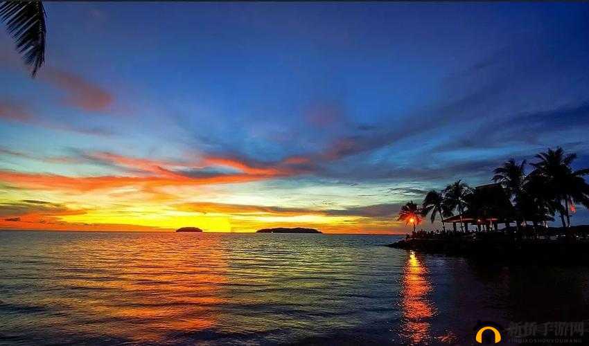 东南亚 10 一 12 仙踪林的旅游景点：奇妙之旅