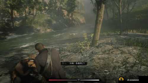 53 岁老阿姨荒野大镖客评测：别样体验