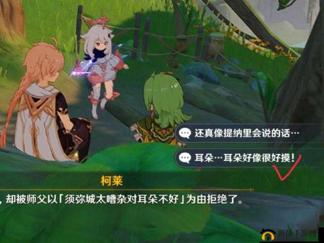 哈～c 够了吗提纳里：探究其背后的含义