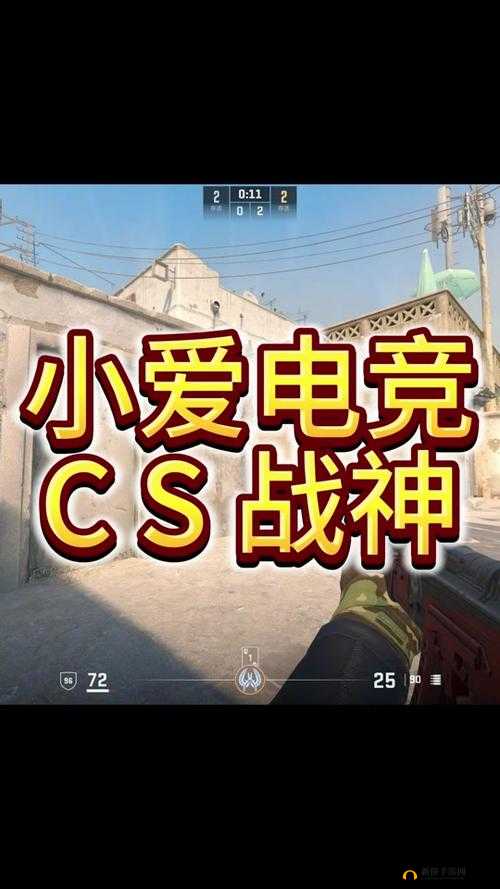 俄罗斯卖 CSGO 网站免费进入且无需担忧
