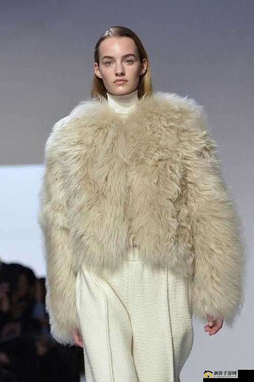 AAAA 级毛皮是纯还是仿：专家解读