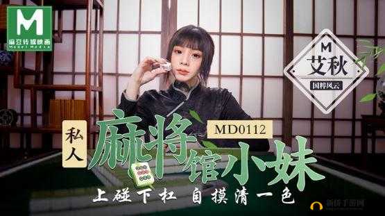 MD0112私人麻将馆艾秋：打造不一样的娱乐体验