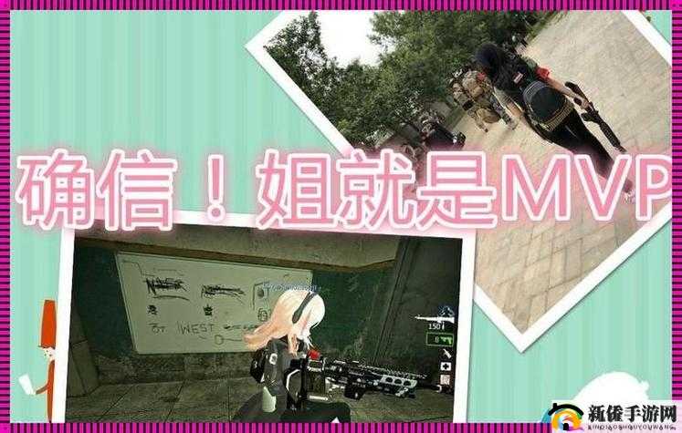 暴躁老阿姨 csgo 新手技巧小说之新手成长记