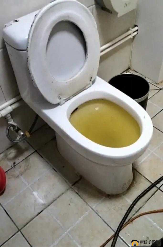 小妈下水道堵了，会自己疏通吗：生活中的尴尬难题