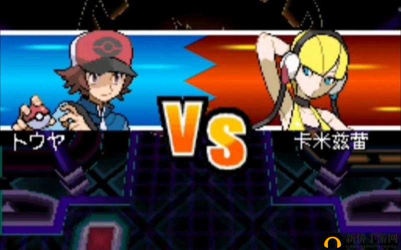 精彩绝伦的口袋妖怪黑白 26 选 4 双打 11 回合视频赏析