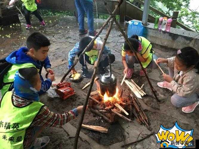 在野外用小雨伞拔萝卜好吗：一种特别的户外体验