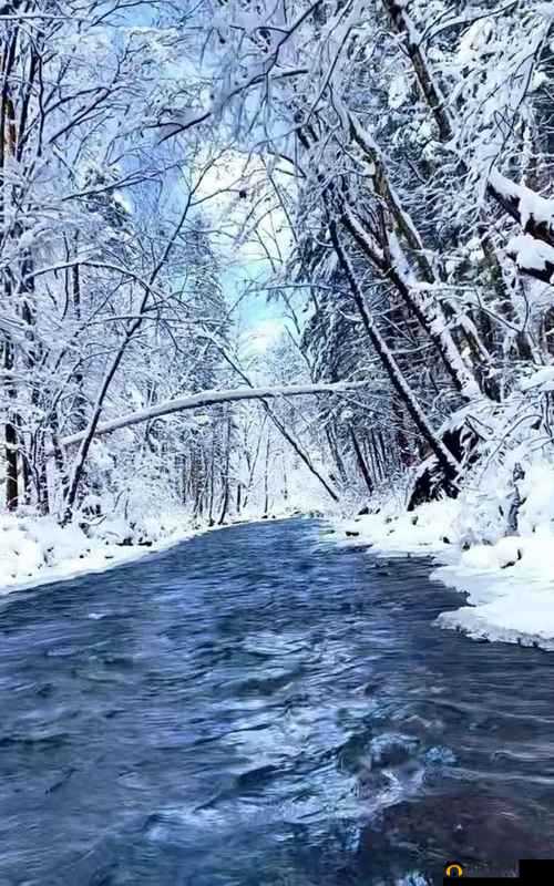 开局都市爆炒宋倩：开启精彩都市之旅