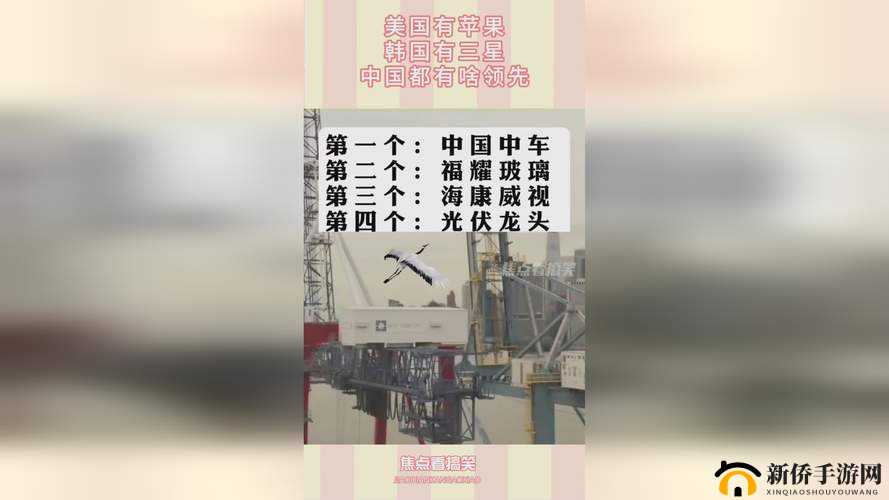 自偷自偷：探索国精产品的奥秘