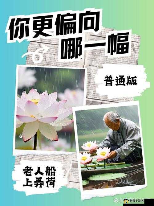 老人船上弄雨荷好吗：这是怎样的场景