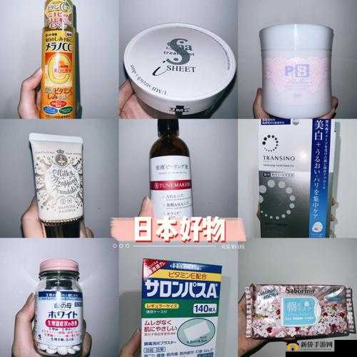 Jagnexsmax 在日本网购：探寻独特好物之旅