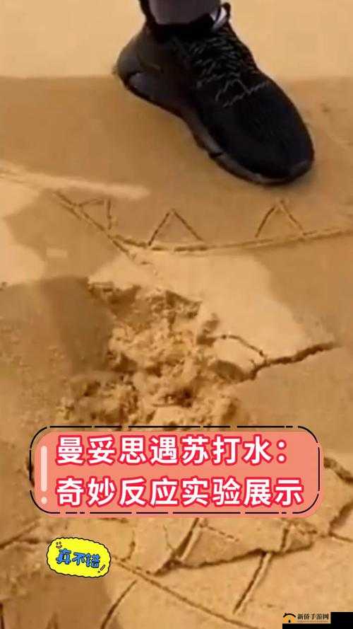 当万人迷 NPC 能看到玩家论坛：奇妙反应来袭