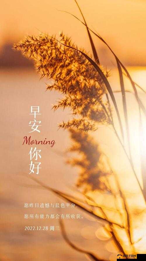 早安少年：快速冷却技巧解析