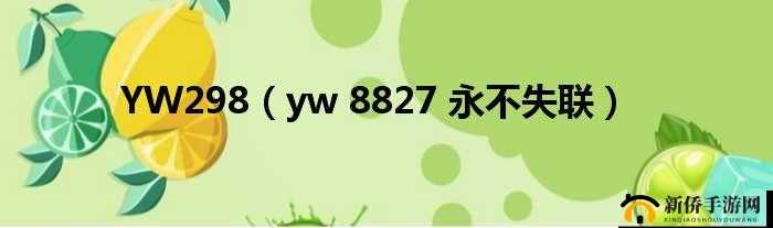 yw 永不失联国际 9：探索无限可能