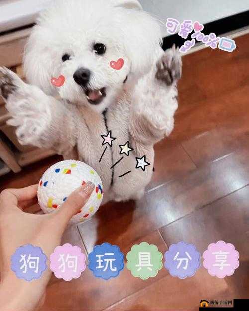 我想抓一下球球：那可爱的瞬间