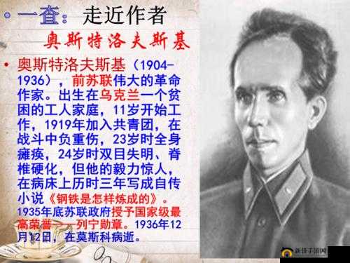 《钢铁巨炮下的荣耀之旅：军装系统体验军人的荣誉与荣耀》