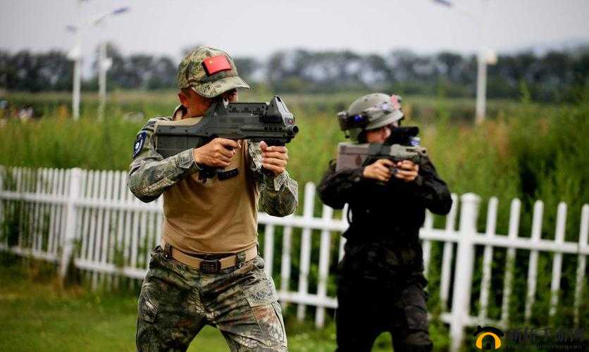 老外 cs 在中国的奇妙之旅