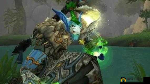 狼人德鲁伊与暗夜德鲁伊：奇幻森林中的双雄