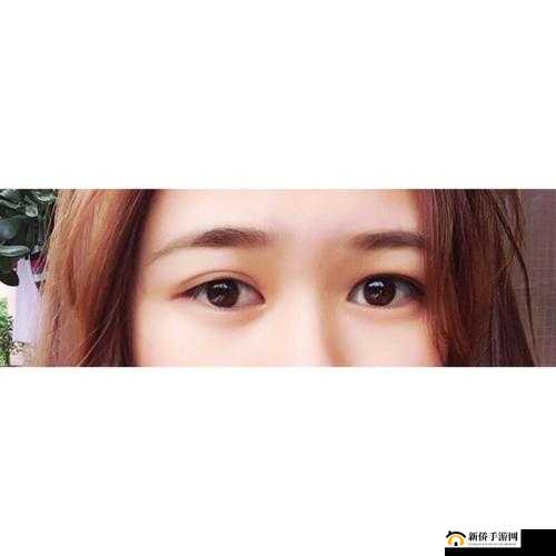 成品人和精品人的区别 guog：深度剖析对比