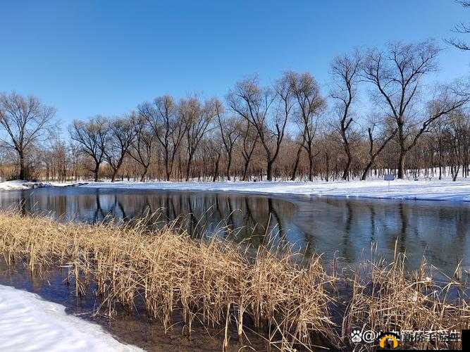 老王头的春天：林初晴最火的一句
