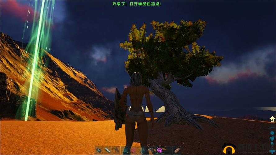 新人开荒指南：方舟生存进化测试版