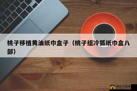 可爱桃子冷狐纸巾盒小熊：陪伴你的好伙伴