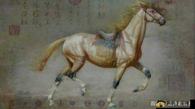 皇上随马奔跑而律动的奇妙景象