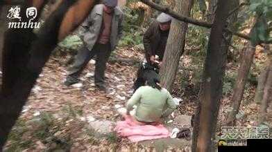 外国老人与森林交易相关