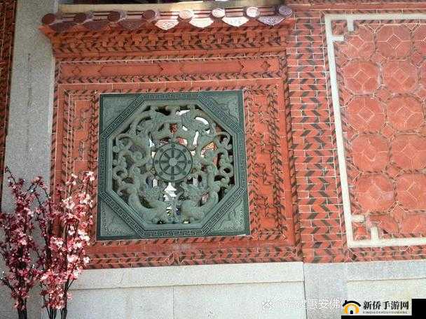 55 岁大妈玩 CSGO 背后故事：不为人知的秘密