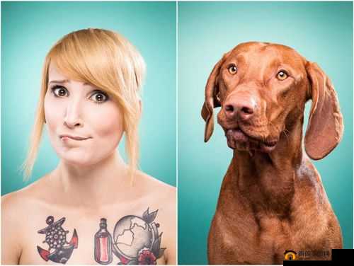 外国人物与动物交互狗 aa：一场跨越物种的奇妙之旅