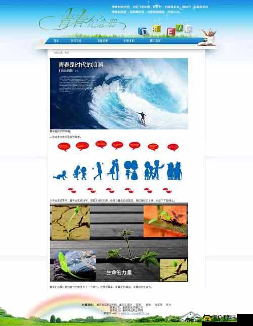 DW 成品网站成品揭秘：深入探究其奥秘