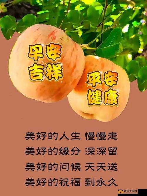 天天日天天干天天搞：探寻生活中的美好瞬间