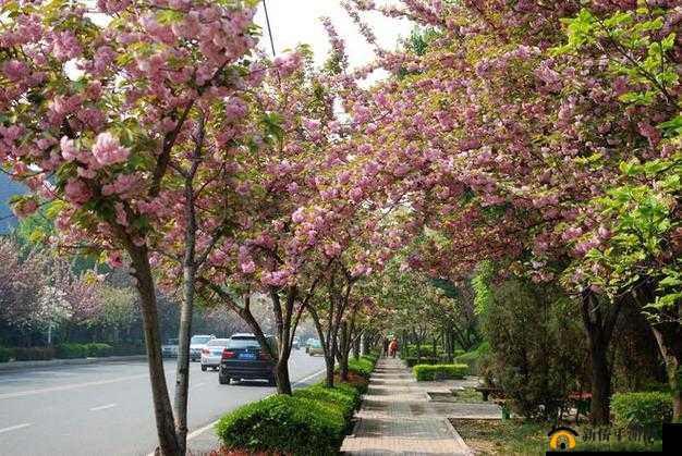 快播色图：精彩画面等你来赏