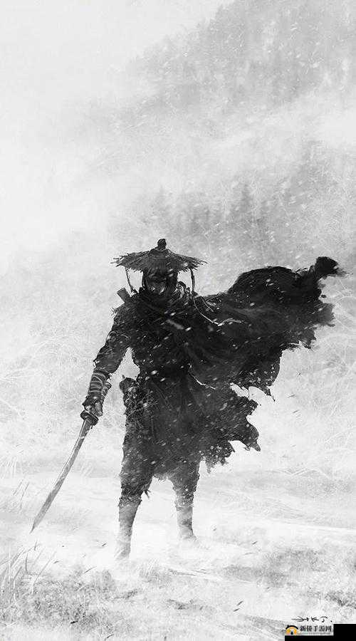 古今江湖豪情纵横：自残流派的冒险之旅