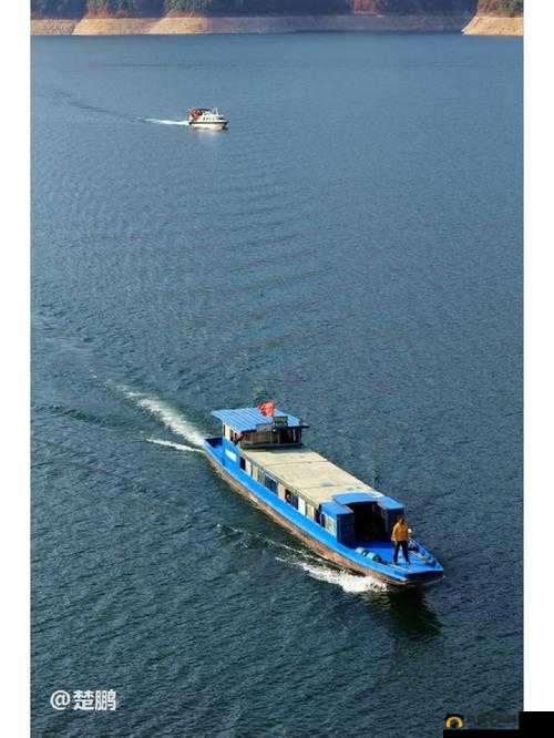 江上 H1VL1：独特的存在