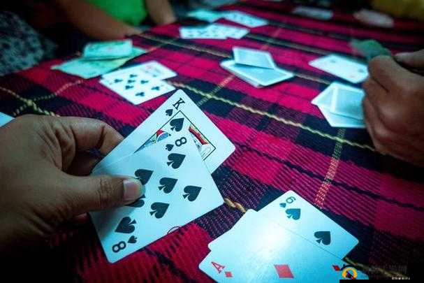 打扑克又叫又嗨：一场热闹非凡的纸牌游戏