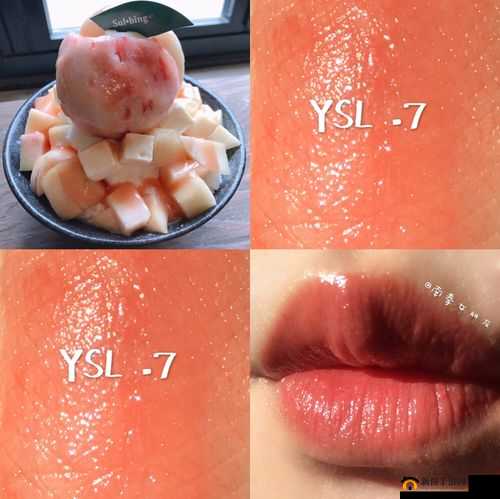 ysl 蜜桃色 6696 究竟是纯还是仿