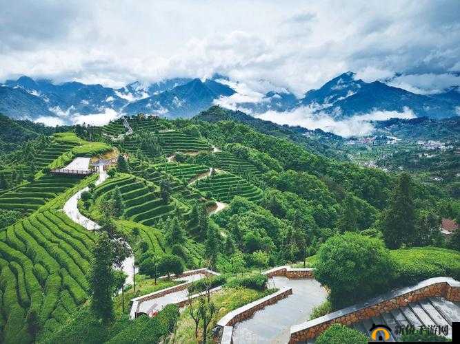 《暖暖环游世界》茶庄之旅：S级搭配攻略揭秘，领略采茶女的自然韵味与风情万种