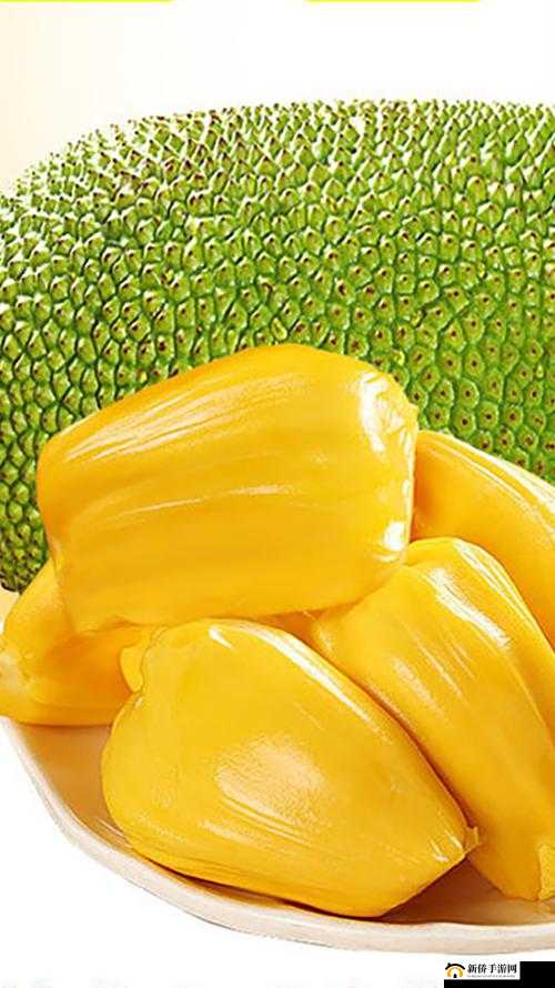 亚精产品一三三菠萝蜜：美味与独特的融合