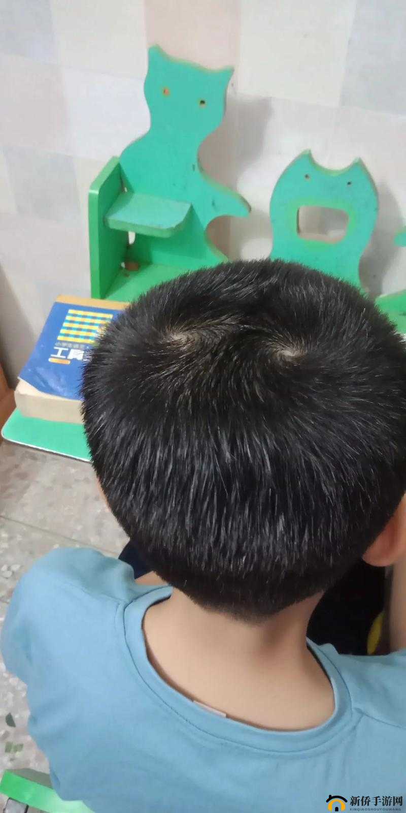 AAAA 级毛皮是正规品牌吗：深度剖析