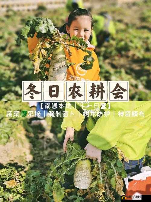 拔萝卜又叫降黄9.1：一个奇特的称呼