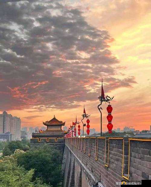 拗女呦小啪网站：独特精彩等你来探索