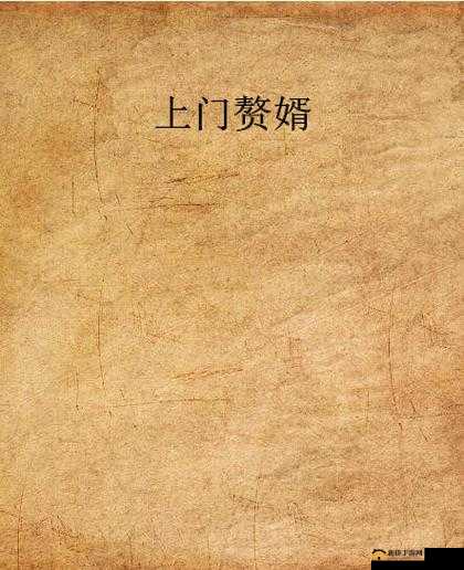 最终还是从了女婿岳风：赘婿传奇