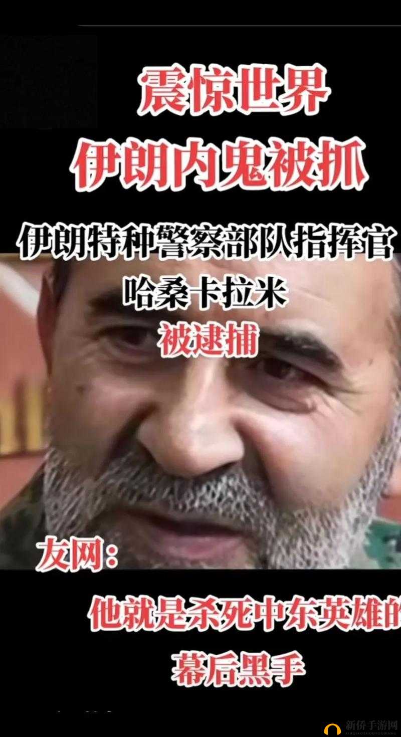 免费看警察 jB 网站 GV：你需要的都在这里