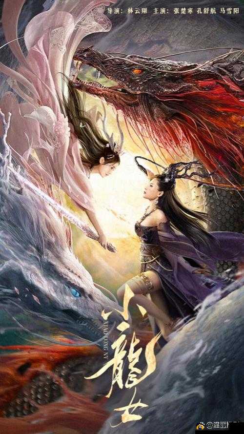 小龙女开始慢慢迎迎合古代小说之传奇故事