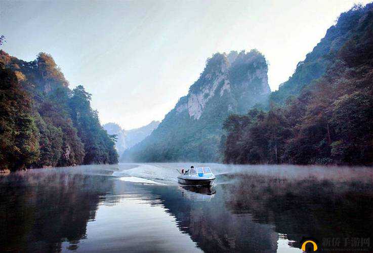 潮水仙踪林 company Limited：探寻神秘之境