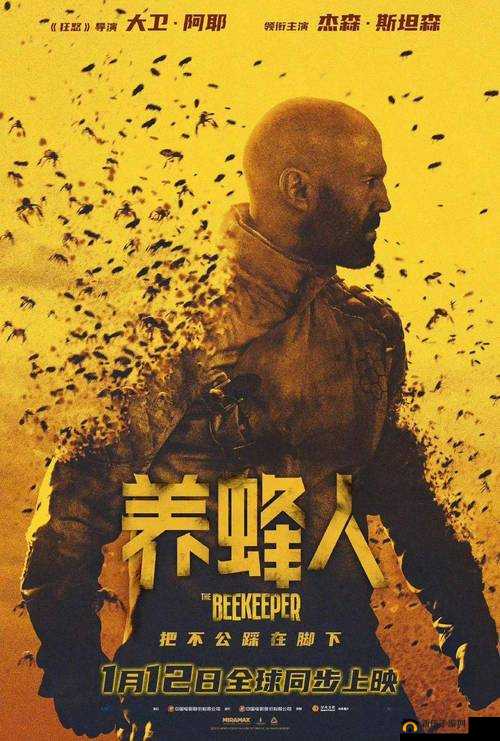 一个人免费视频在线观看 www2024 最新版：畅享精彩影片