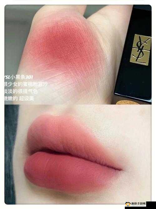 YSL 蜜桃色 WWW ：打造迷人妆容的必备
