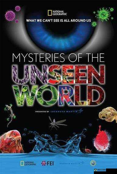 外国 XXXXXL19WASWAS：探索未知的神秘世界